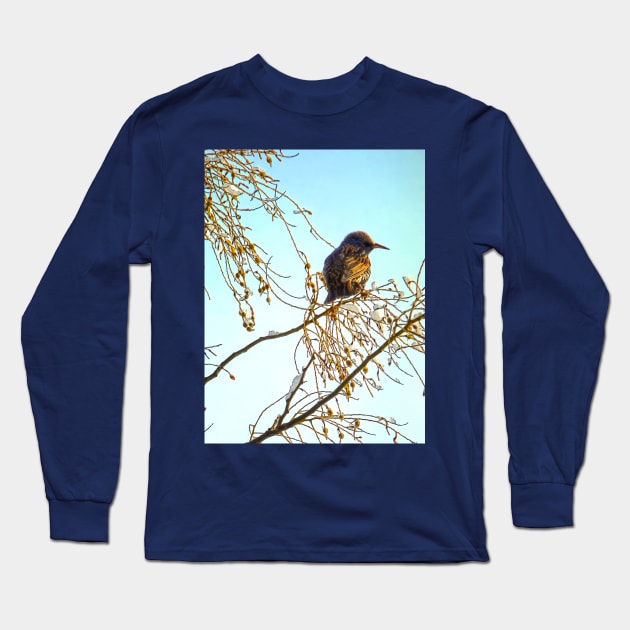 Wren on a Winter Branch Long Sleeve T-Shirt by SusanSavad